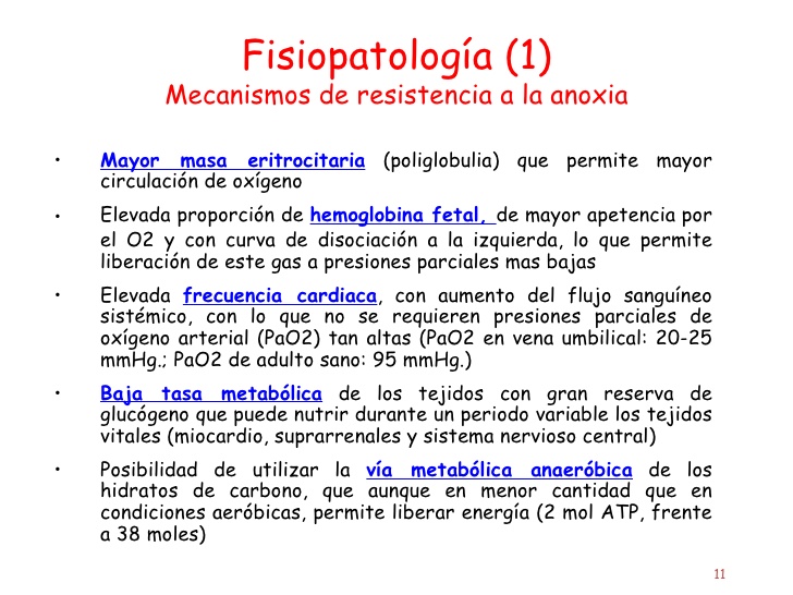 Asfixia perinatal fisiopatologia pdf gratis